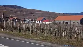 The road into Wettolsheim