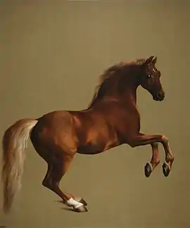 George Stubbs's c. 1762 Whistlejacket