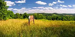 Beaver Brook Wildlife Management Area in White Township, July 2009