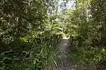 Bridge in Whites Hill Reserve