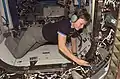 Astronaut Peggy Whitson, Expedition 16 commander, works in the vestibule between the Harmony node and Destiny laboratory of the International Space Station.