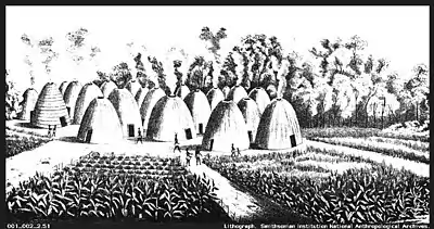 Image 11Wichita village of grass houses surrounded by maize fields in the United States. (from History of agriculture)