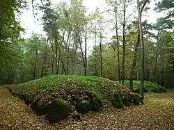 Earthen long barrows