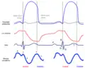 Wiggers with jugular venous waveform