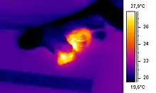 Image 34Thermographic image of a snake eating a mouse (from Snake)