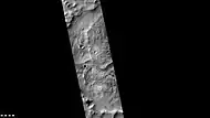 Eskers in Joly crater, as seen by CTX camera (on Mars Reconnaissance Orbiter). Eskers are the ridges in the image; they are formed by streams running under a glacier.