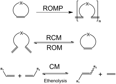 Classification of Olefin metathesis reactions