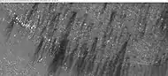 Spiders shaped by the wind into streak or fans, as seen by HiRISE under HiWish program.  Polygon surface has frost in the troughs along the edges.