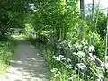 A pedestrian path in the castle's park (ca 2009)