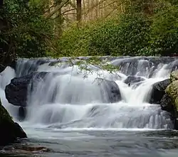 Wild Creek Falls in Beltzville State Park