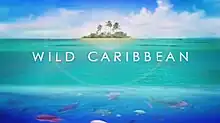 Wild Caribbean title card