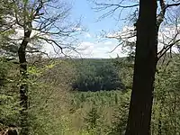 View east from near Pinnacle summit