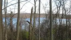 Lake at East Fork State Park in the township's far southeast