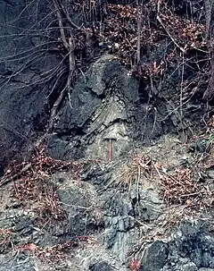 Tight anticline in the Wills Creek Formation, Pennsylvania