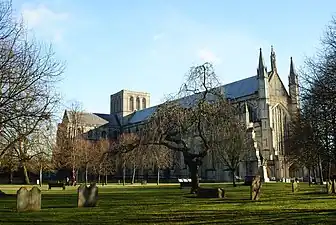 Winchester Cathedral