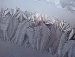 Window frost