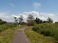 A man and young girl wander through the nature reserve.