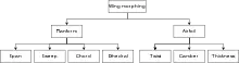 Wing morphing can be planform or airfoil. Planform: span, sweep, chord and dihedral. Airfoil: twist, chord, thickness