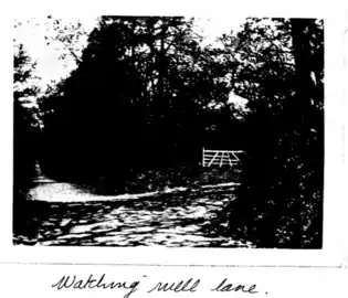 Gardens at Swainston 1909