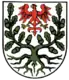 Coat of arms of Woldegk