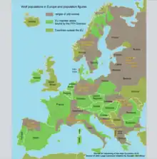 Map showing the wolf's range in Europe and surrounding areas