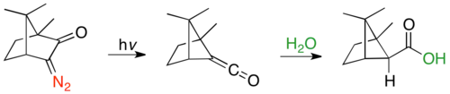 Ring contraction of α-diazocamphor via Wolff-rearrangement, followed by hydration from more sterically accessible endo face.