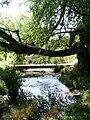 The Wom Brook in Ham Meadow.