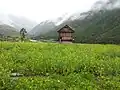 Wooden hut in Chitkul