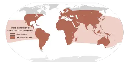 Image 20Approximate world distribution of snakes (from Snake)