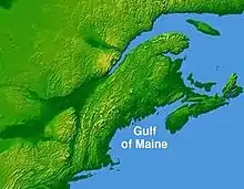 A topographical map depicting the Gulf of Maine region, with the land being colored green. Visible are the Northeastern United States, Nova Scotia, New Brunswick, and southeastern Quebec.