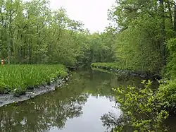 Wright Creek from Nanticoke Wildlife Area