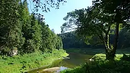 At the small tributary stream of Kamienica