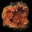 A rich jumble of tabular, reddish-brown wulfenite crystals fills the vug in the geode-like gossan matrix on this specimen