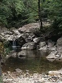 A stream in the touristic part of the reserve