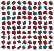 One hundred computer-designed blueprints for a walking organism composed of passive (cyan) and contractile voxels (red).