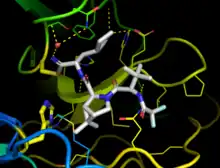 Xray crystal structure PDB:7si9