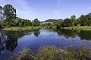 Marsh at high tide