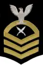 U.S. Navy Chief Yeoman arm insignia