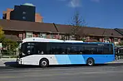 YRT current fleet colours 2007–present