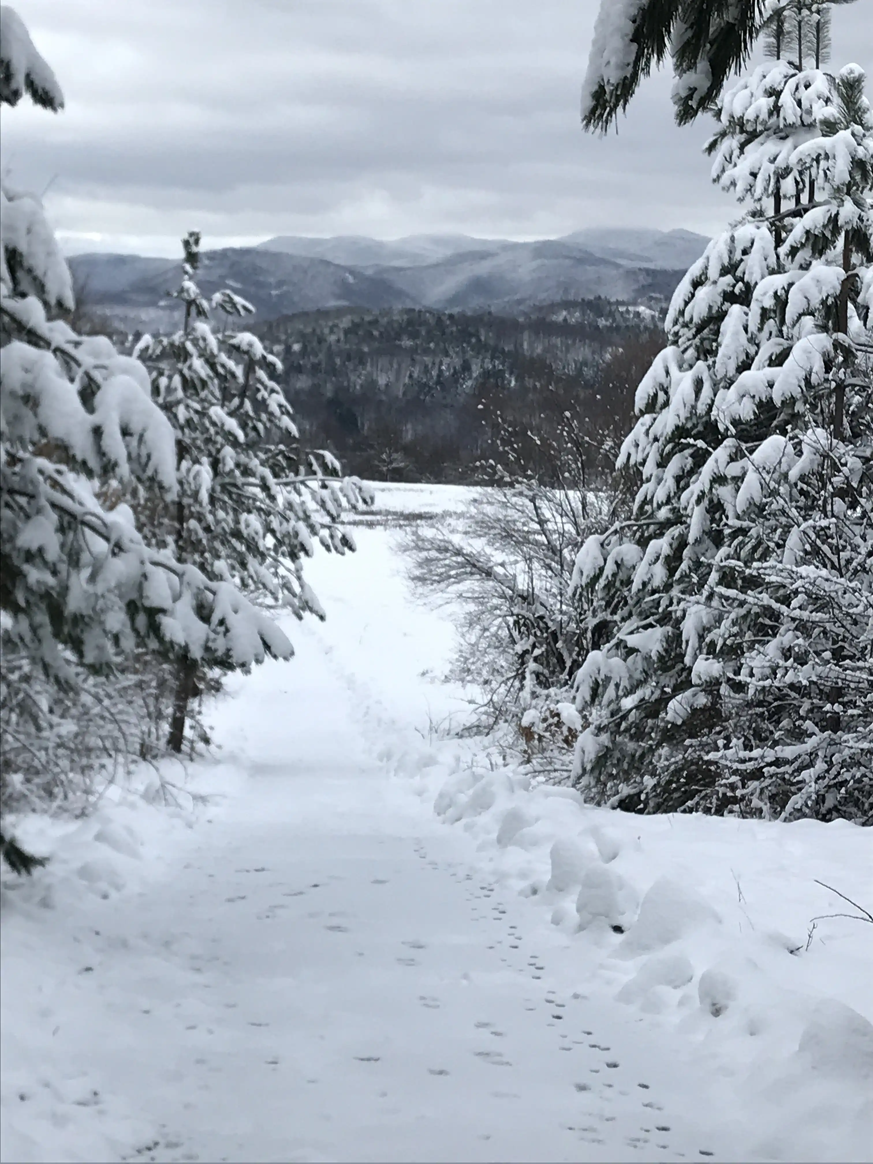 Yabulkovtsi_winter