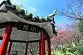 Chinese Pavilion and Cherry Blossom.