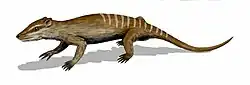 Yanoconodon allini