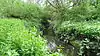 Yeading Brook in Yeading Brook Meadows