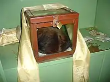 Purported Yeti scalp at Khumjung monastery