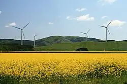 Windpower farm in Yokohama