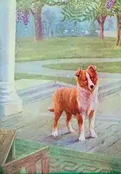 A young dog stands on a porch. It has short hair.