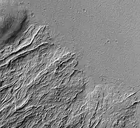 Image shows both young and old lava flows from the base of Olympus Mons. The flat plain is the younger flow. The older flow has channels with levees along their edges. The presence of levees is quite common in many lava flows.