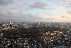 Meiji Shrine with Yoyogi Park