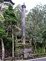 Shendaozhu at the tomb of Yu Youren in Yangmingshan National Park, Taipei