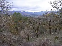 Headwaters area of Yulupa Creek